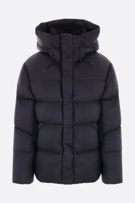 Alpine nylon down jacket