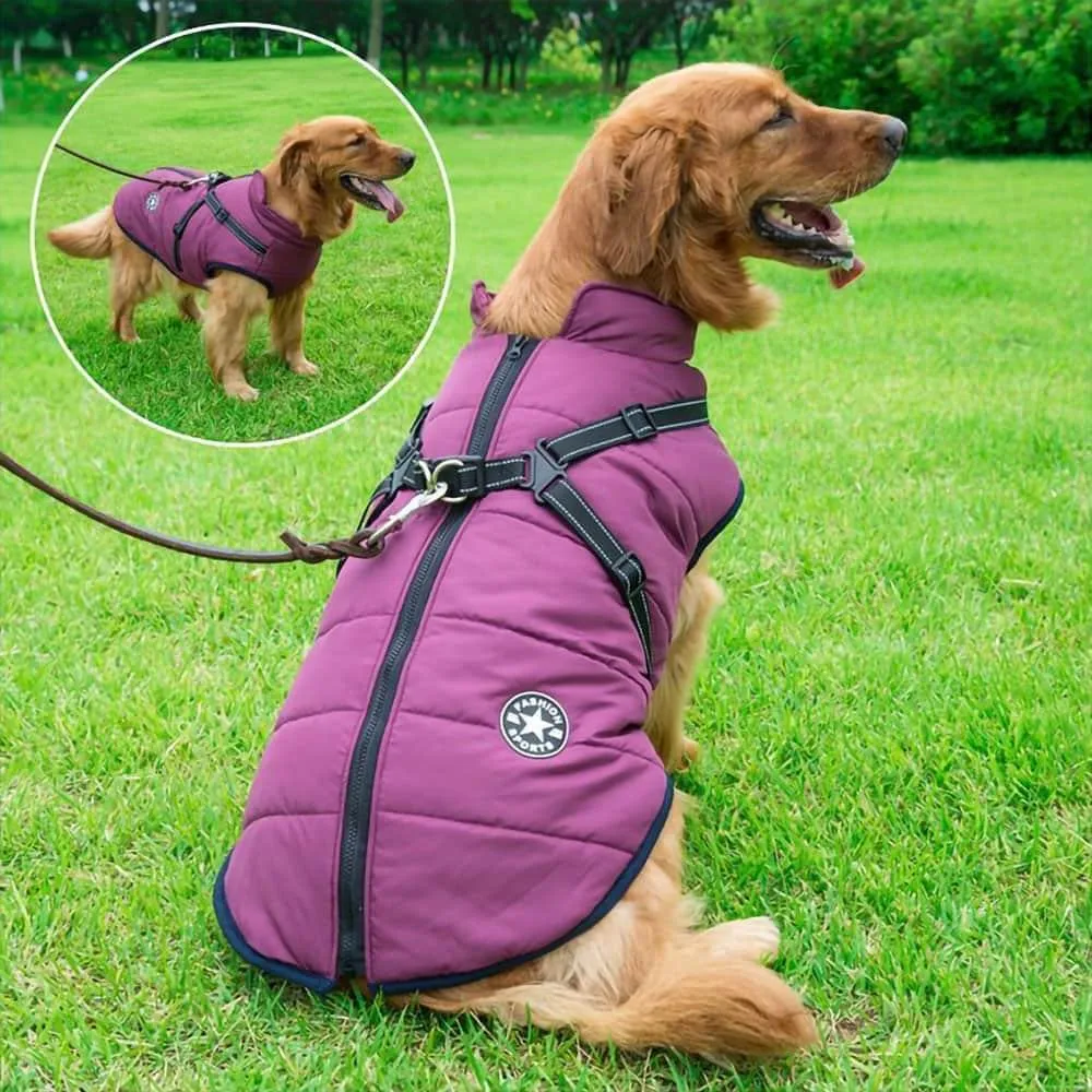 PupSki Pro™ - Waterproof Jacket Harness
