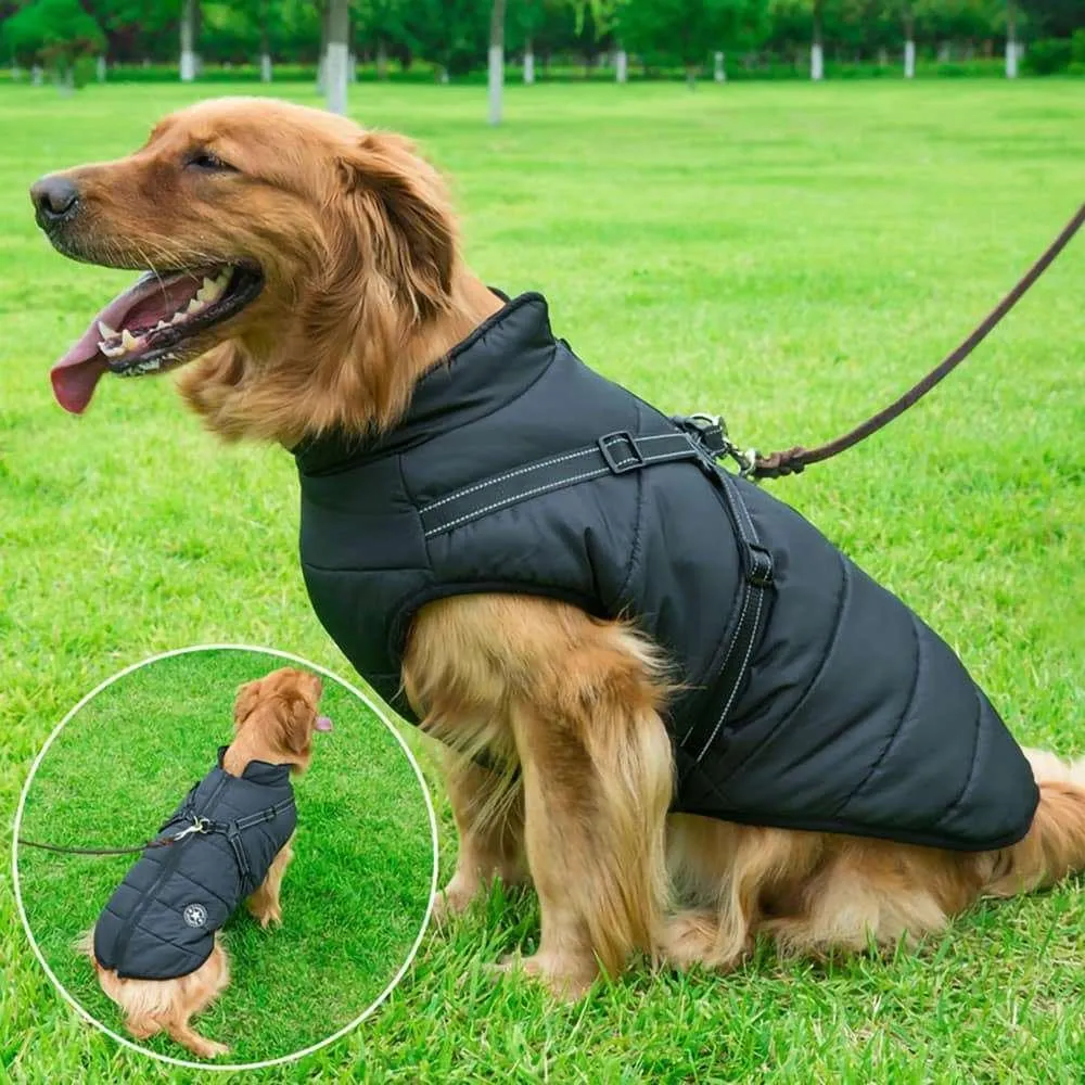 PupSki Pro™ - Waterproof Jacket Harness