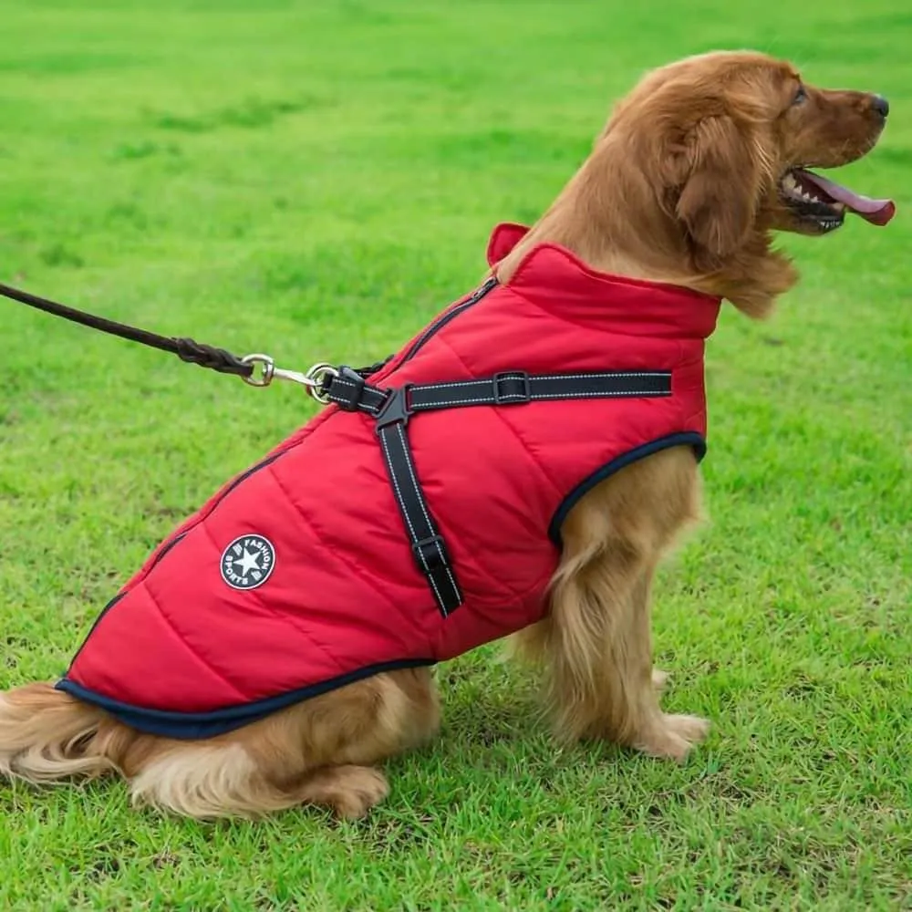 PupSki Pro™ - Waterproof Jacket Harness