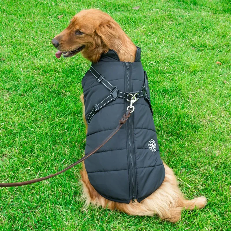 PupSki Pro™ - Waterproof Jacket Harness