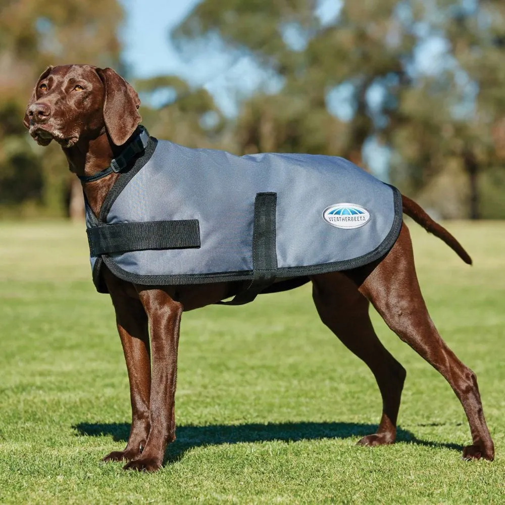 WeatherBeeta Comfitec Classic Waterproof Dog Coat